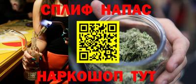 apvp Камень-на-Оби