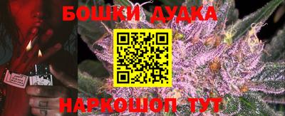 apvp Камень-на-Оби