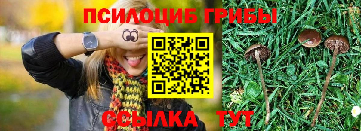 Псилоцибиновые грибы MAGIC MUSHROOMS  Вход с VPN  Артёмовский 